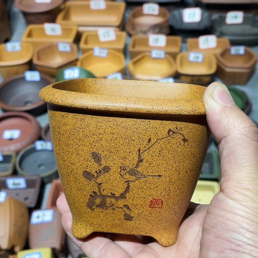 紫砂小盆9.5*8cmmmmm