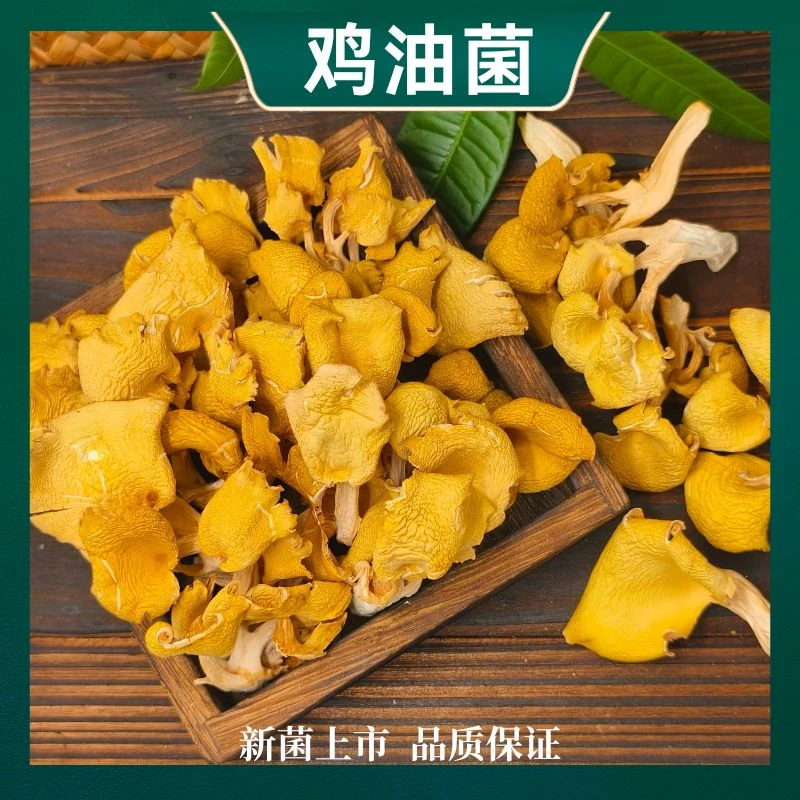 云南特产【鸡油菌】新鲜干货煲汤菌菇食材