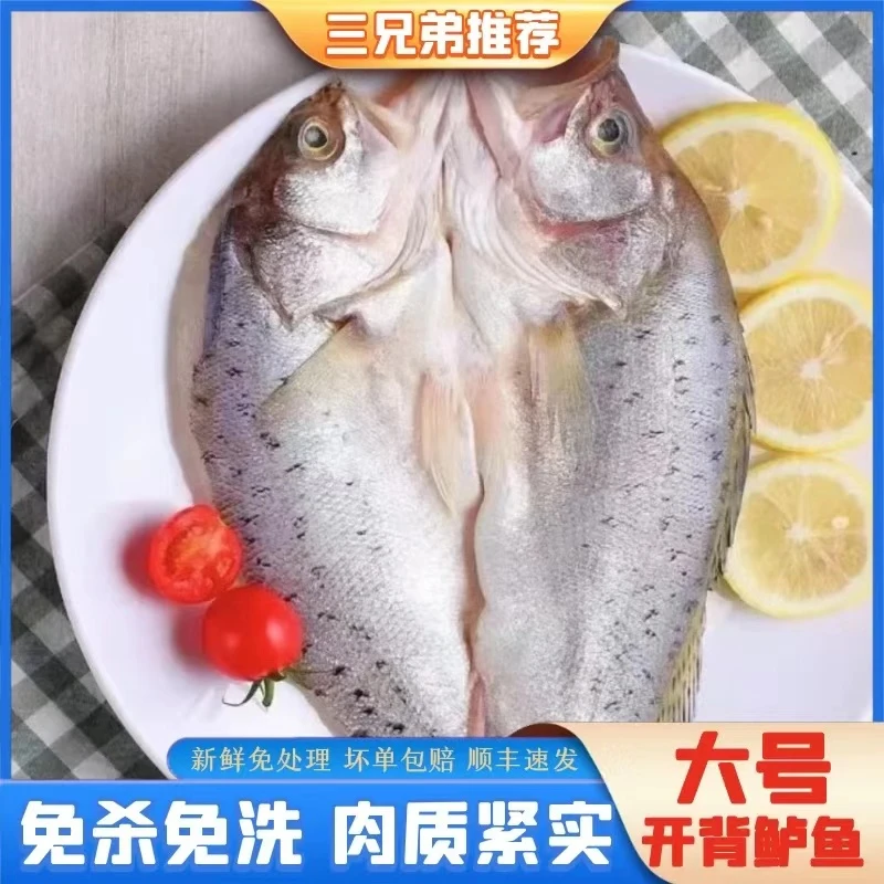 【三兄弟】新鲜开背海鲈鱼免杀免处理500g-600g/条4条装不低于2000g