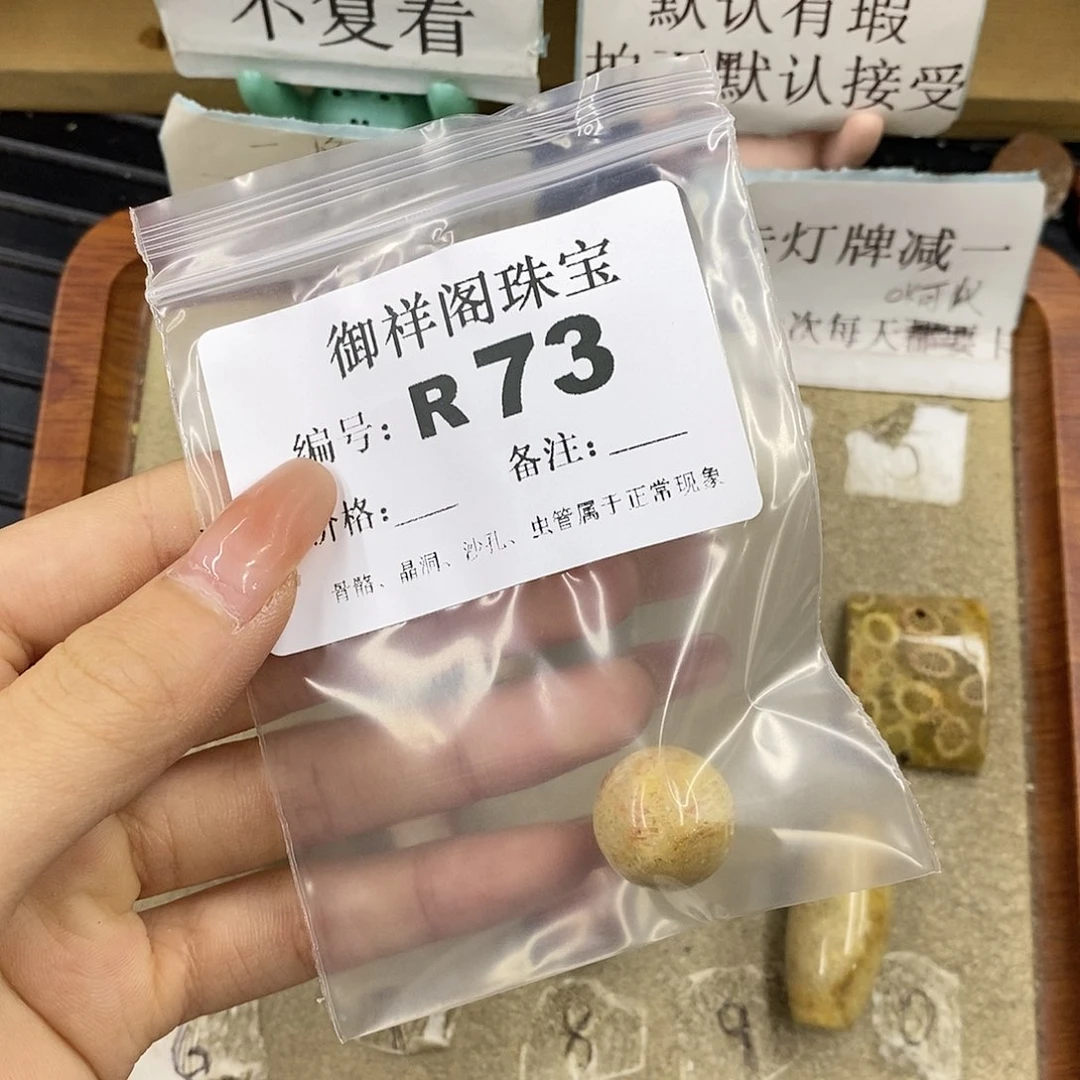 硅化珊瑚（珊瑚玉）未镶嵌颈饰石*