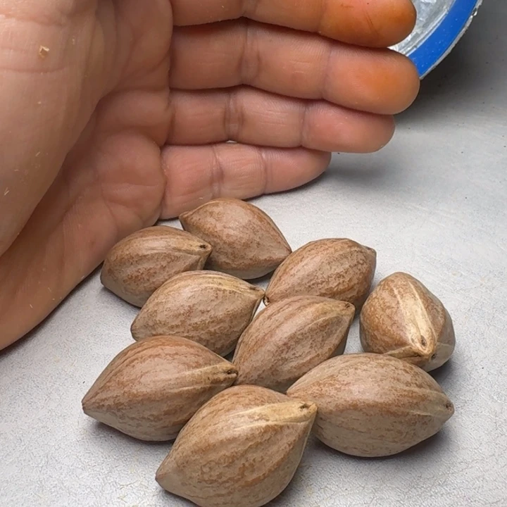 擎***枫橄榄核手串/手链橄榄核2.1