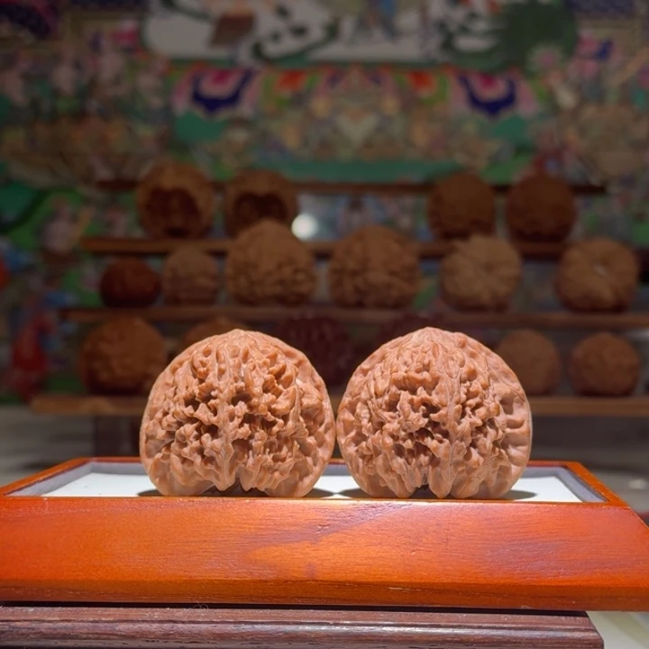 46满天星精品大尺寸核桃