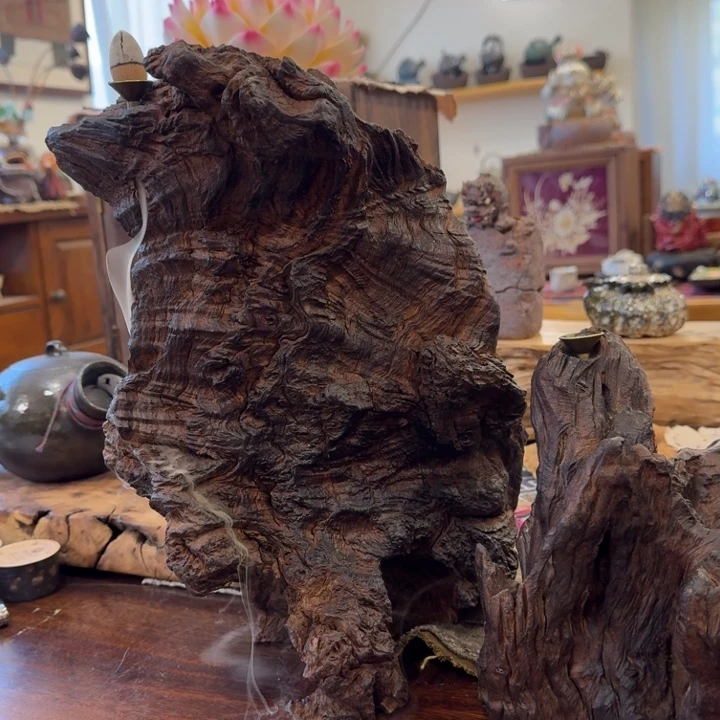 菜***子陶瓷犹犹豫豫犹犹豫豫鱼鱼