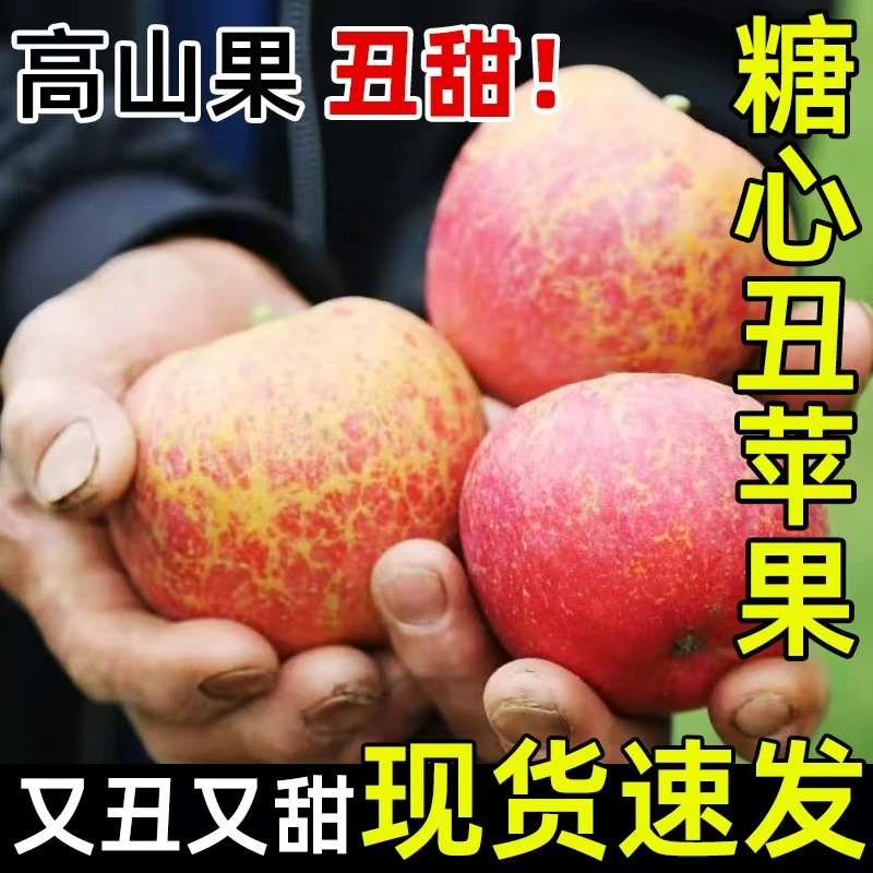 云南昭通冰糖心丑苹果脆甜多汁现摘现发