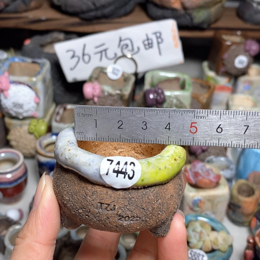 拍3送一个小礼物