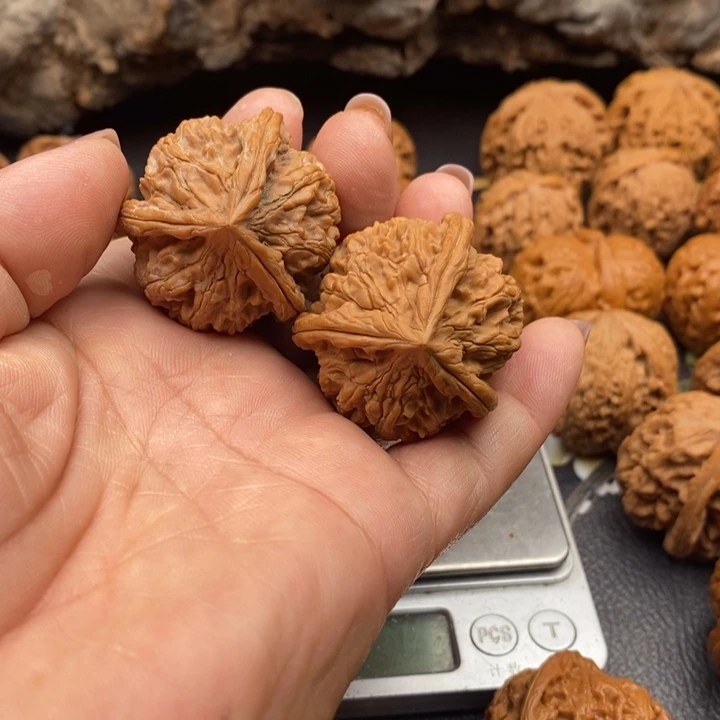 全品无修39玉玺三棱