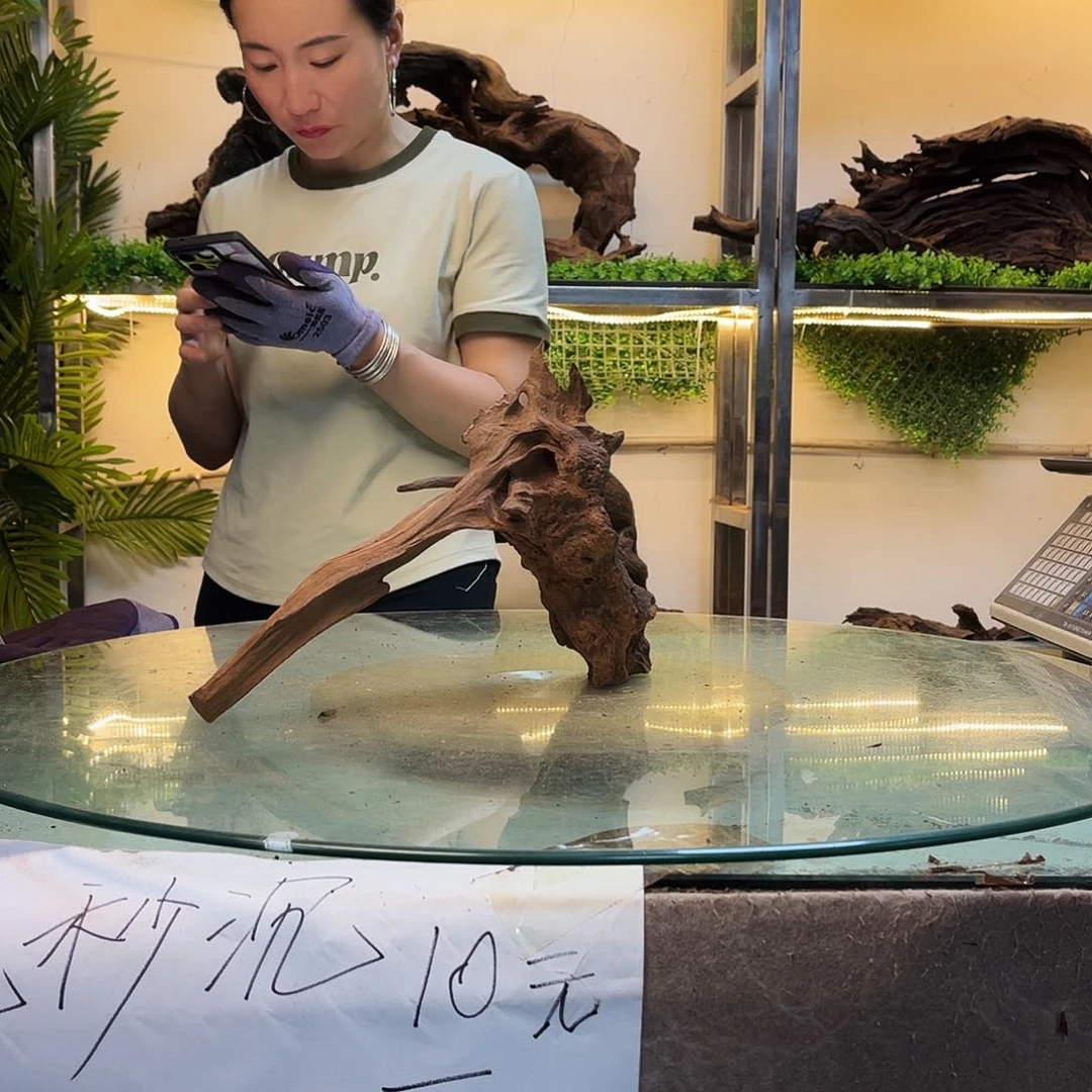 静***族柚木沉木鱼缸造景