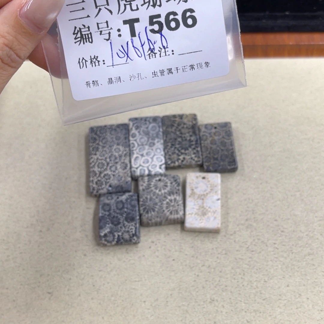硅化珊瑚（珊瑚玉）t足银镀金镶嵌?****肉