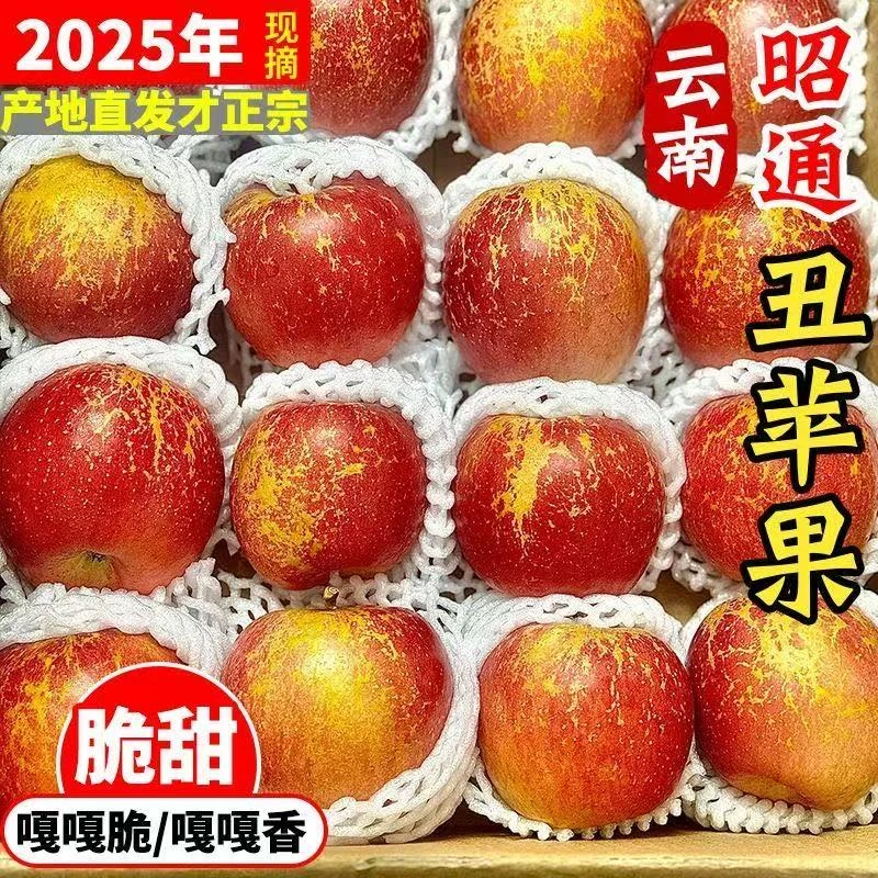 精品果【现摘现发】正宗昭通丑苹果脆甜多汁当季高原丑苹果5/8斤