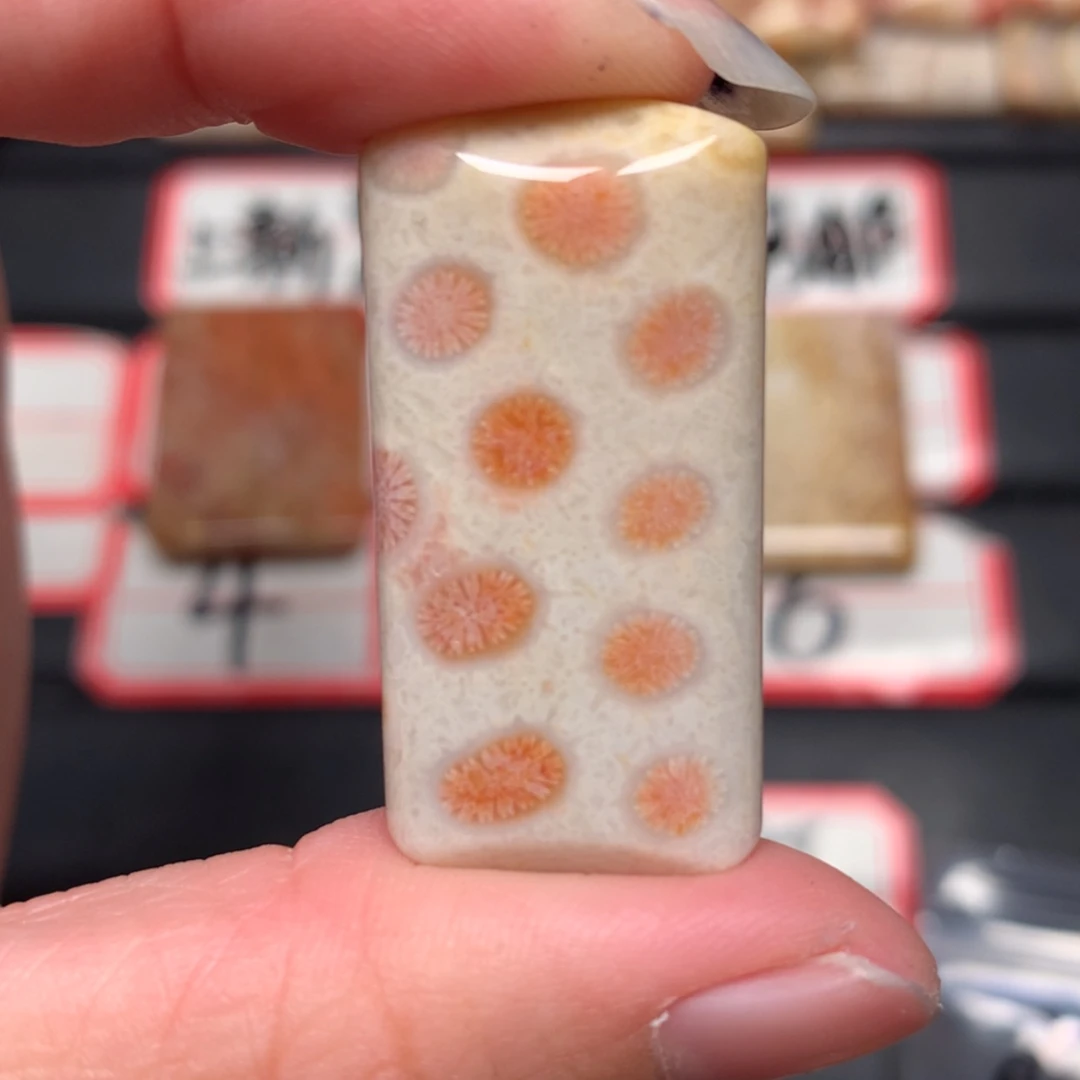 【闪购商品】未镶嵌颈饰硅化玉Q*