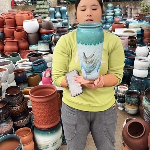 13口31高瑕疵一个盆子。