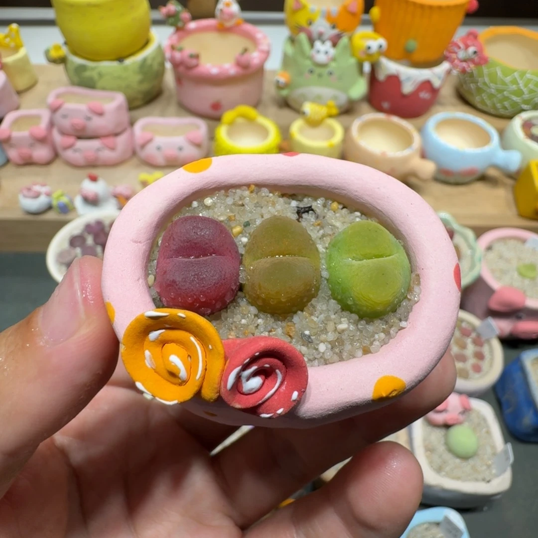 蘑菇218蟠桃蟠桃蟠桃