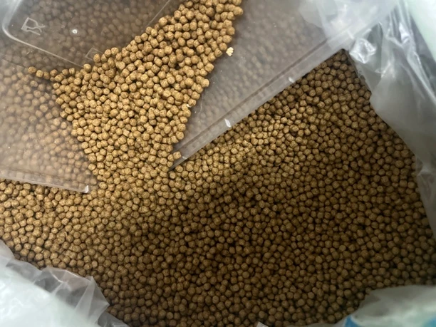 佛鳄北美鳄龟龟粮