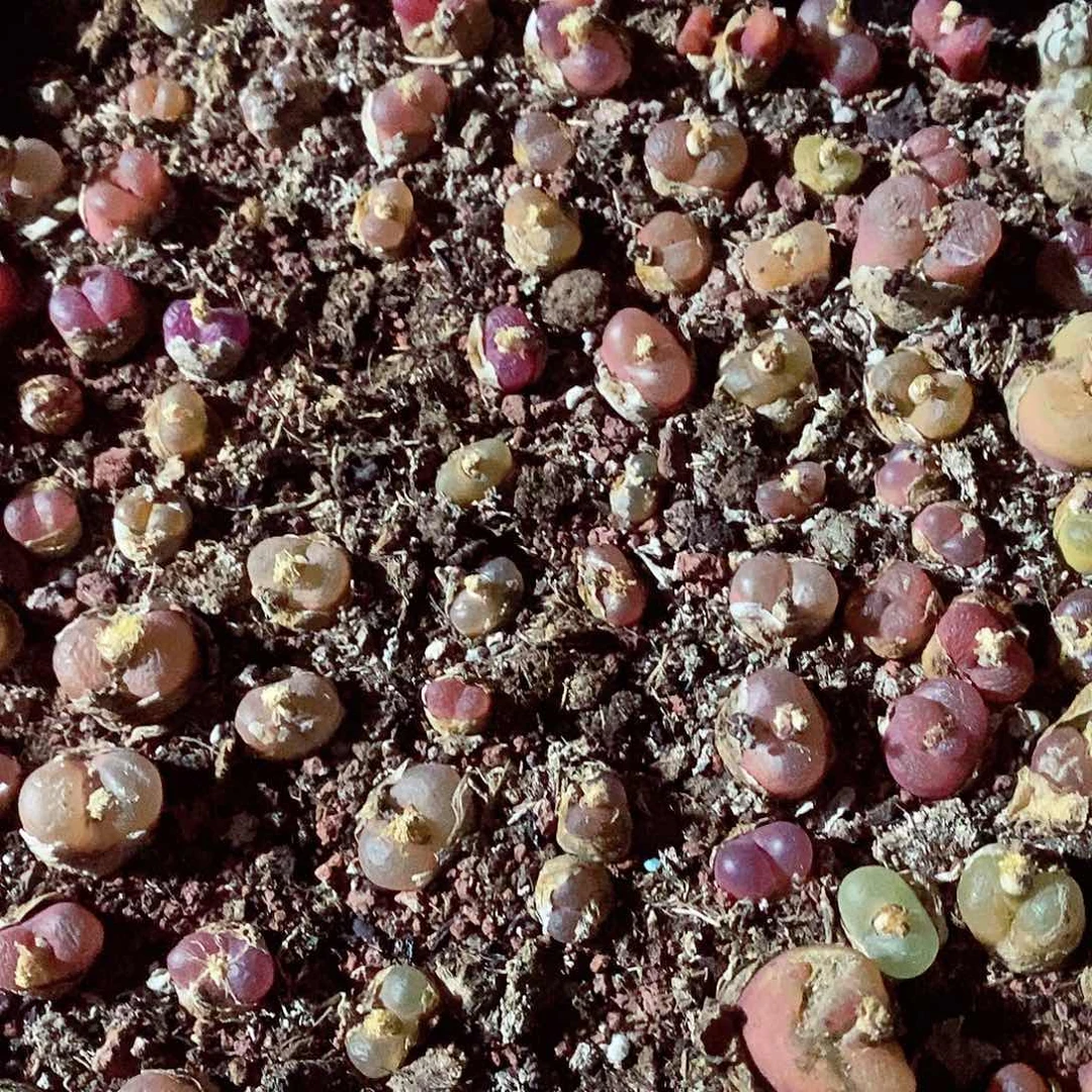 140毛毛呃呃呃呃呃呃呃呃呃呃呃呃呃呃