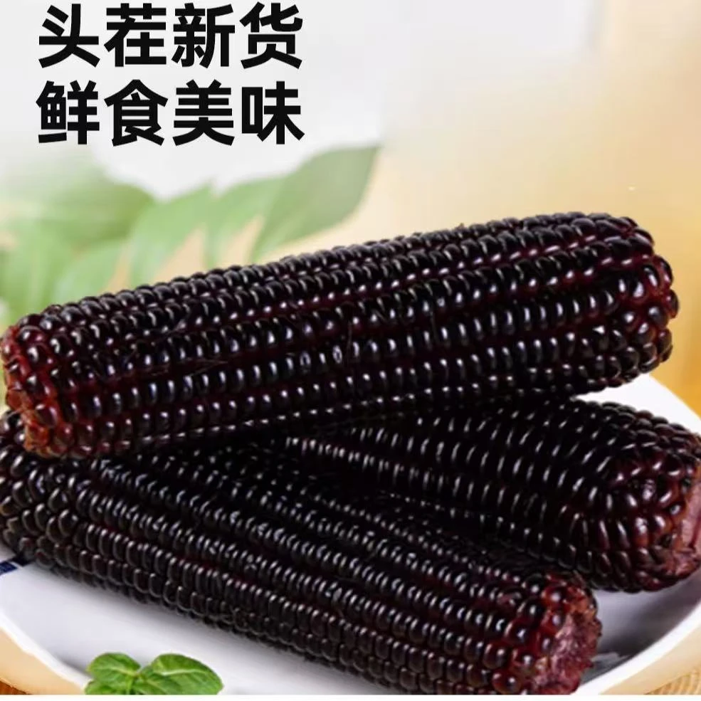 【试吃2根】新鲜正宗东北黑甜糯玉米软糯香甜代餐粗粮一整箱