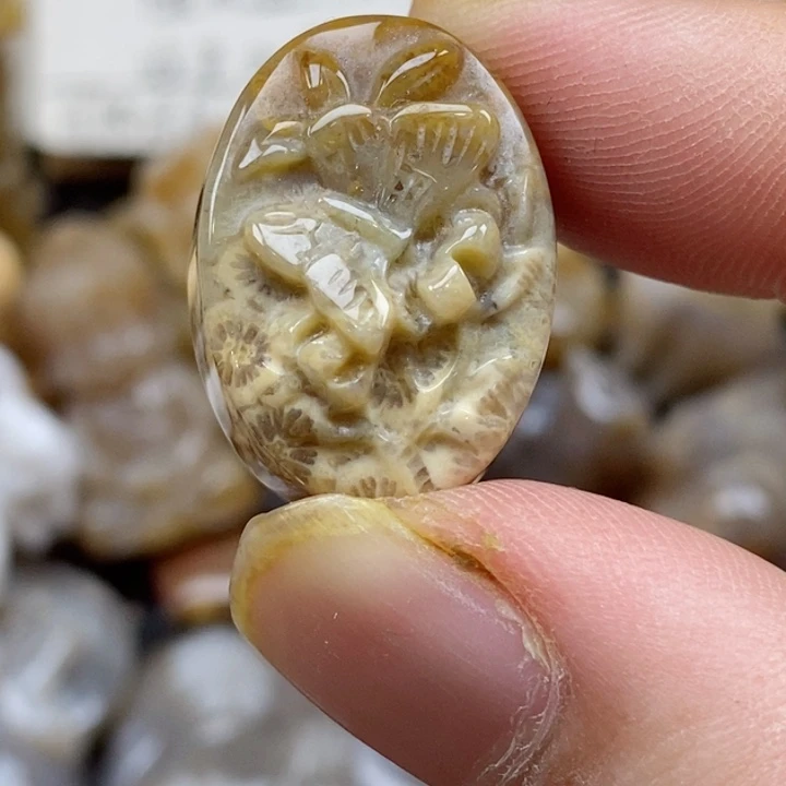 颈饰未镶嵌硅化珊瑚（珊瑚玉）小