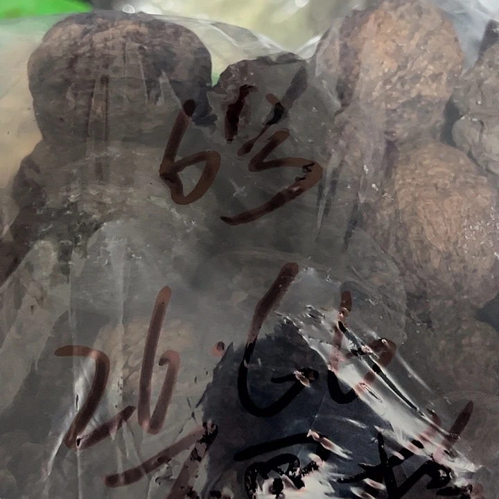 文玩核桃吊坠滇西6