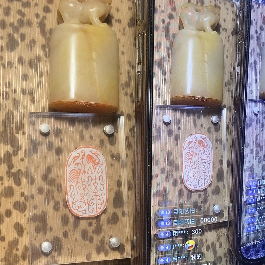 海***洋老挝石印石我们都一样