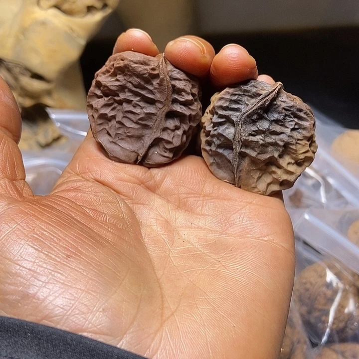 把件文玩核桃云南铁核桃基地47