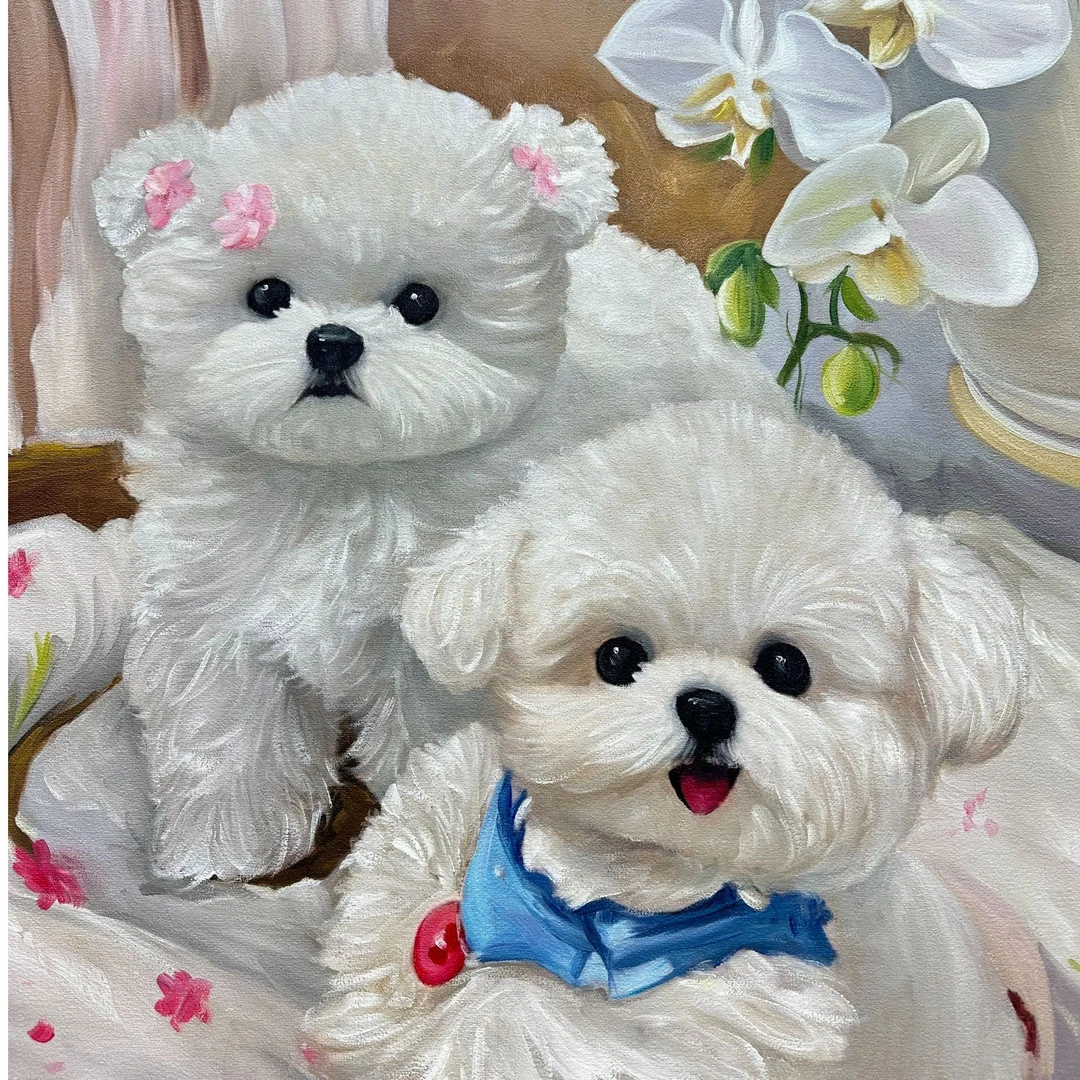 鸿星宠物韩系比熊活体链接