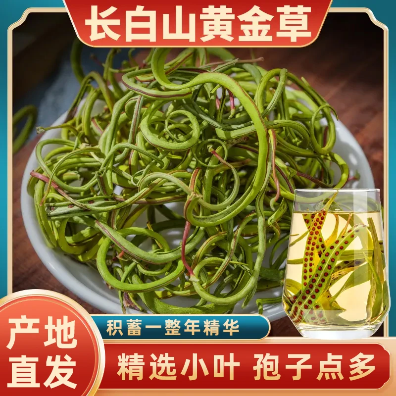 【产地直发】黄金草正宗小叶孢子东北长白山精选嗷嗷茶石草茶泡茶st