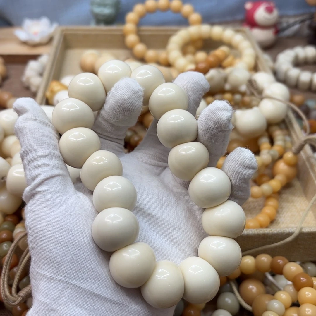 菩提根/象牙果吊坠22干磨牙果胖墩肠086