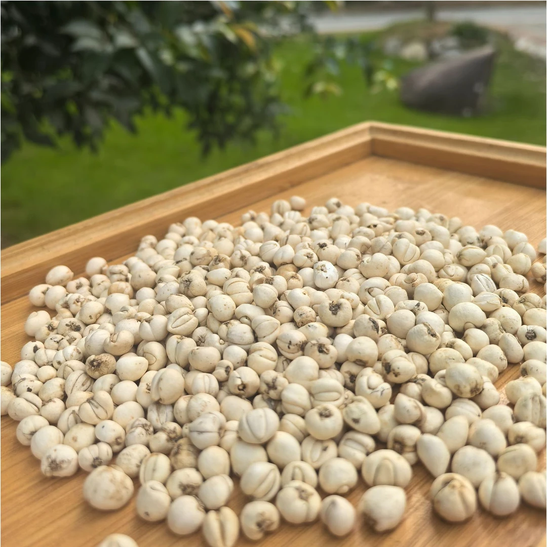 川贝松贝母老乡自采精选煮水泡茶