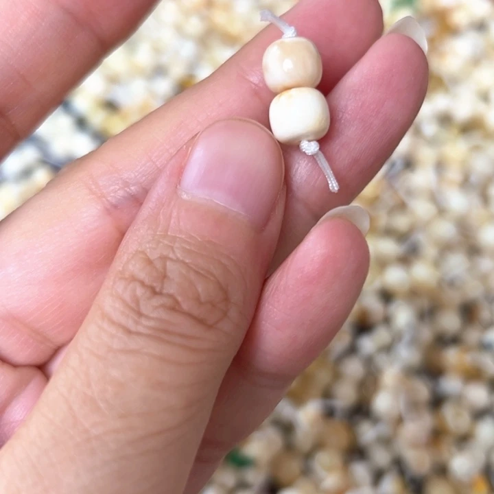 裸石蜜蜡未镶嵌7.6mm一对