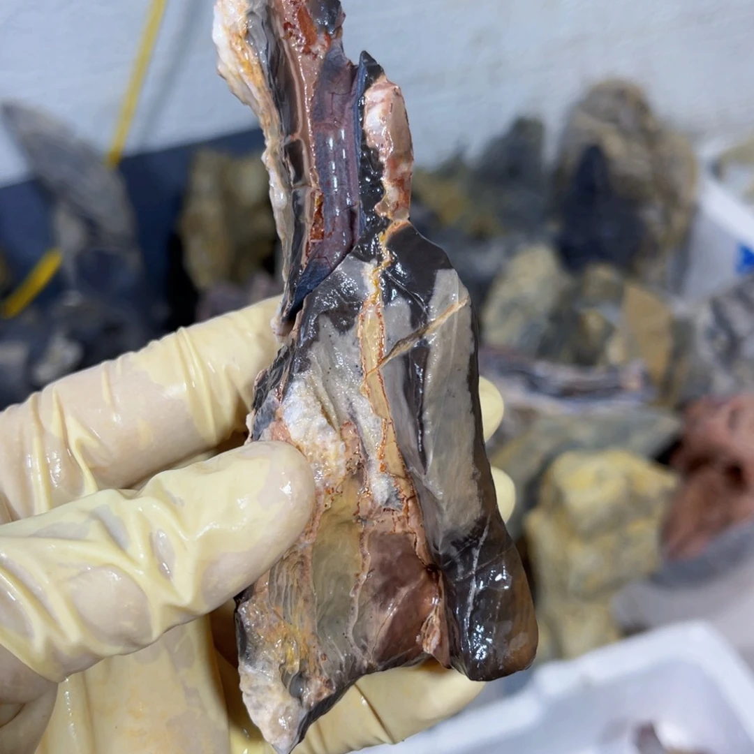 凌**家附石盆景一物一拍