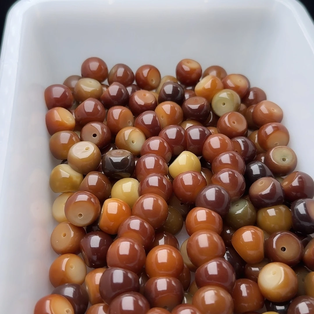 吊坠菩提根/象牙果50颗菲料追光蒜瓣14.8  厚切