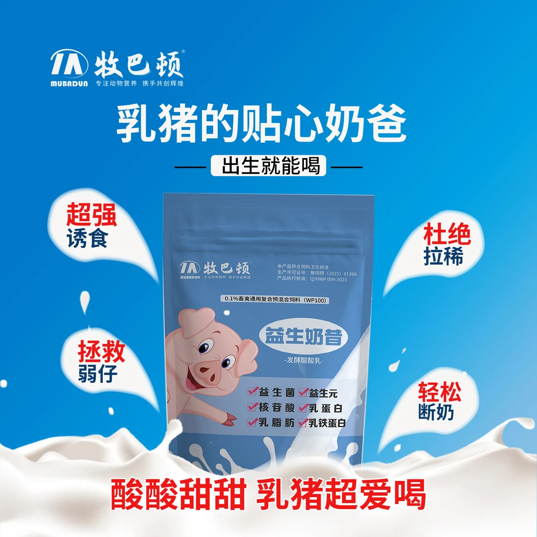 牧巴顿乳猪益生奶昔酸酸乳