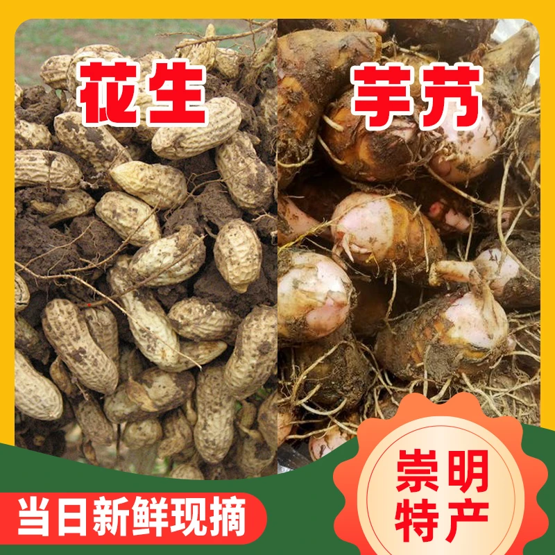 [顺丰到家]崇明香酥芋艿本地花生农家现挖甘香绵密芋头