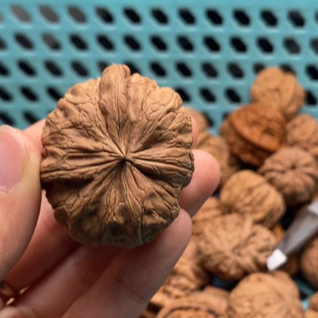 飞***觉核桃定制商品不退不换