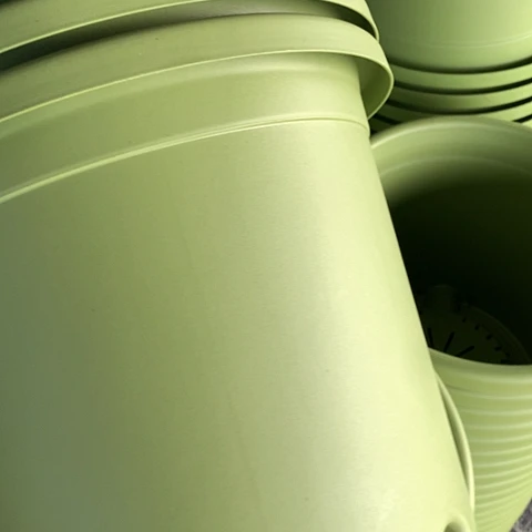 树脂5加果绿无托3个