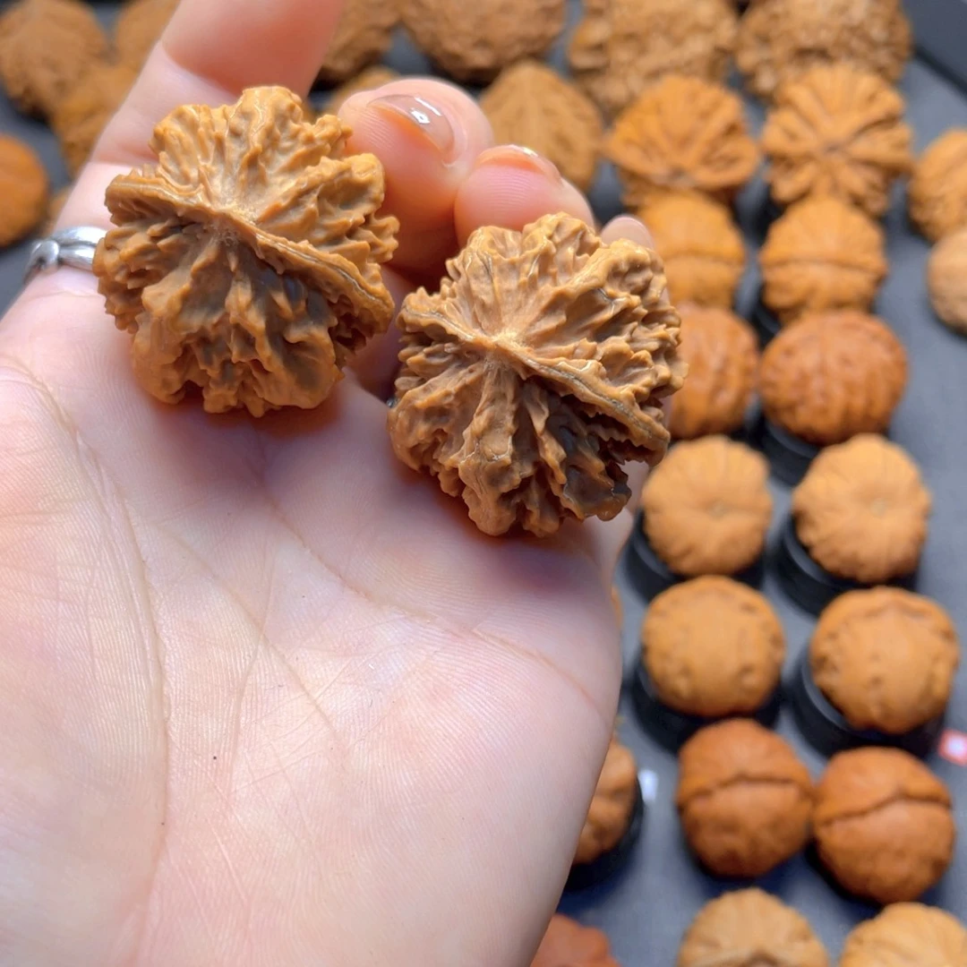 核桃文玩把件大呲花