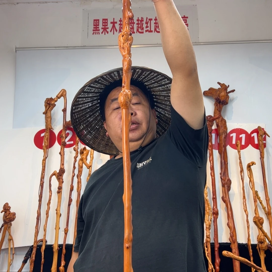 寄***云黑果木其他黑果木233