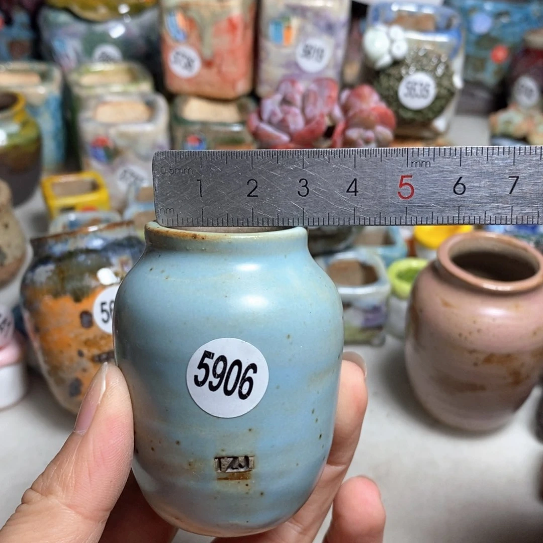 拍5送一个小礼物