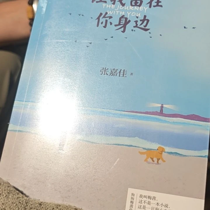 让我留在你身边平装库存书