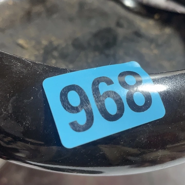 黑***鸭贝壳手串/手链民俗文化等方面进行