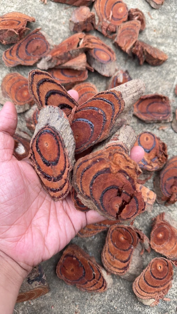 广东阳春大山鸡血藤无硫干货