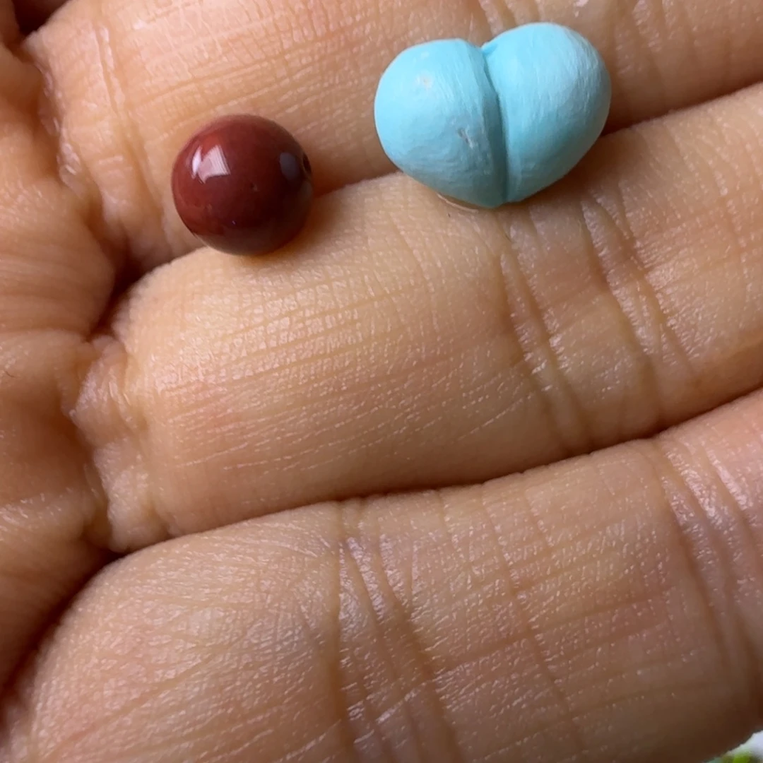 子****未镶嵌配饰南红玛瑙