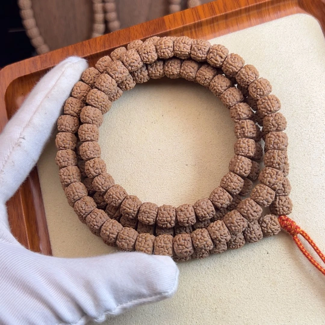 金刚菩提吊坠芳**吧六颗树一代龙A+