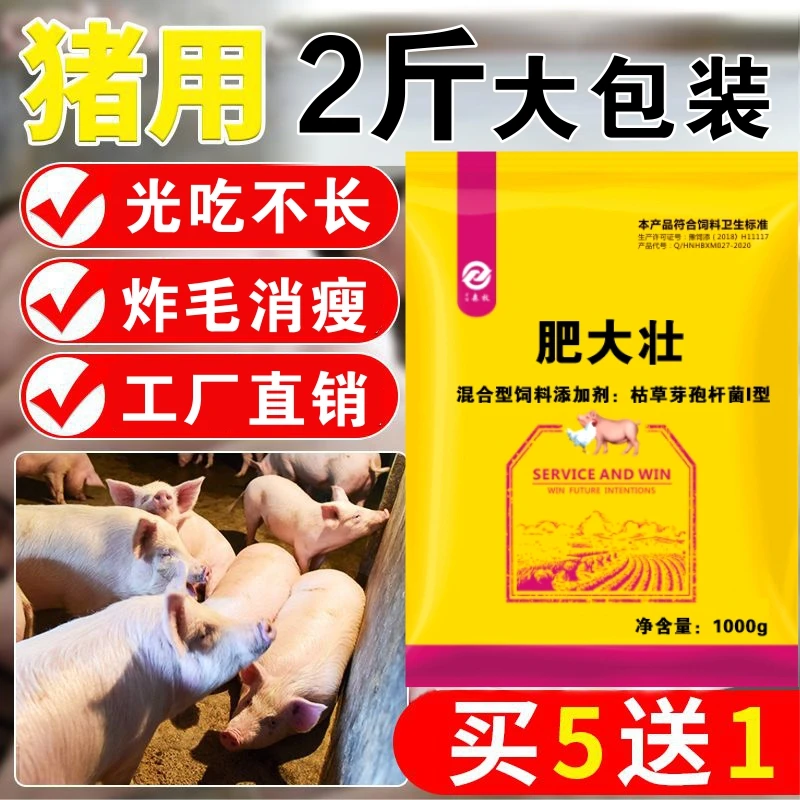 猪用肥大壮光吃不长猪日长消瘦炸毛养猪增肥增重饲料添加剂猪尔健