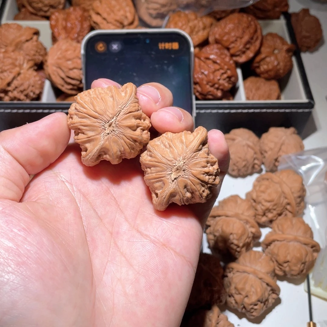 T****X41全品无修无明野生