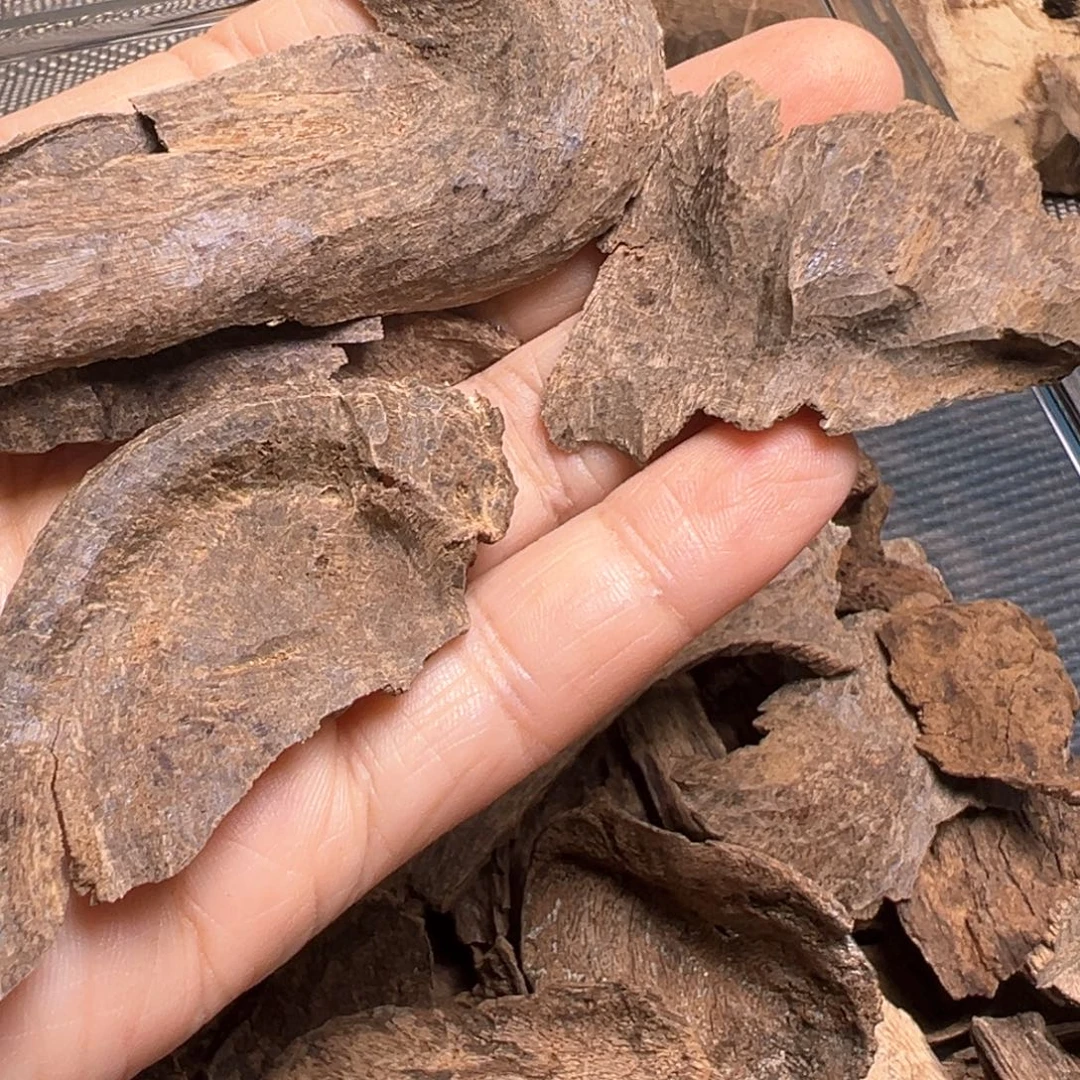 玫***韵香榧木老包壳10克