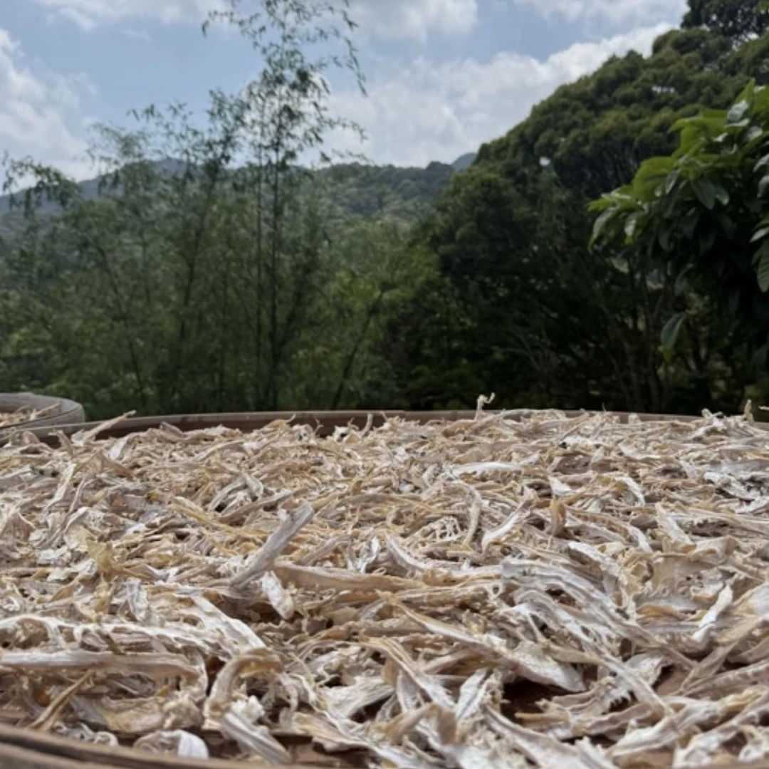 恒昌精选 •优质山里嫩笋干