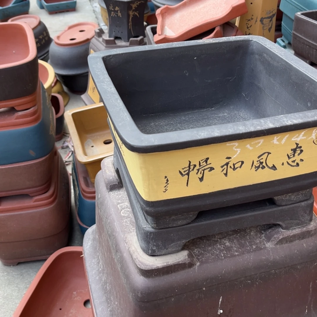 盆景艺术展演等活动