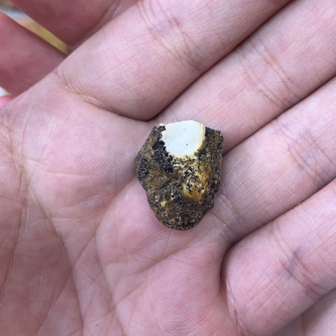 不***喵定制琥珀天然琥珀