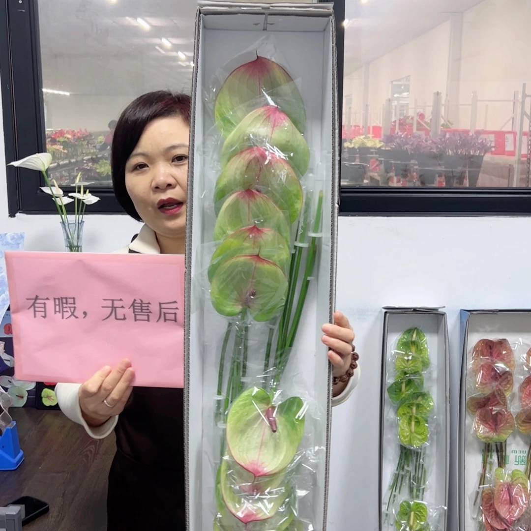 完全开放福泰-12枝装无售后款！