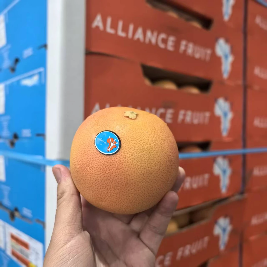 【三岔路】南非西柚酸甜多汁柚子葡萄柚酸水果